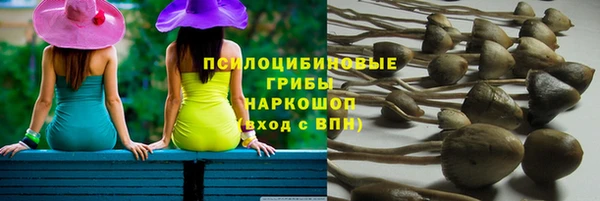 крисы Тавда