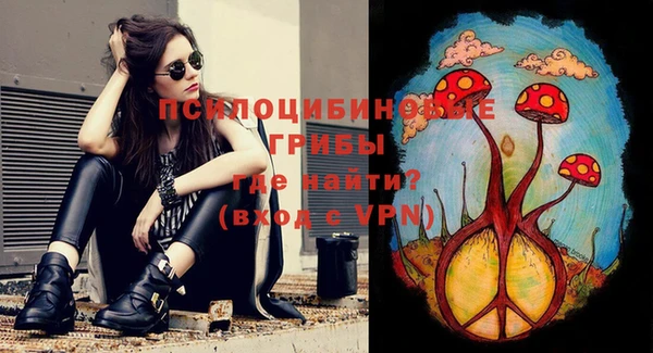 круглые Дмитровск